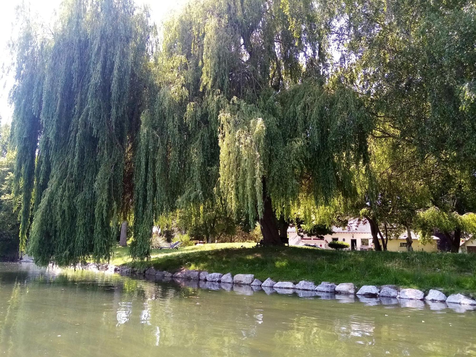 Petit Appartement 30M2, 3 Lits, 3 A 4 Pers Neuilly  外观 照片